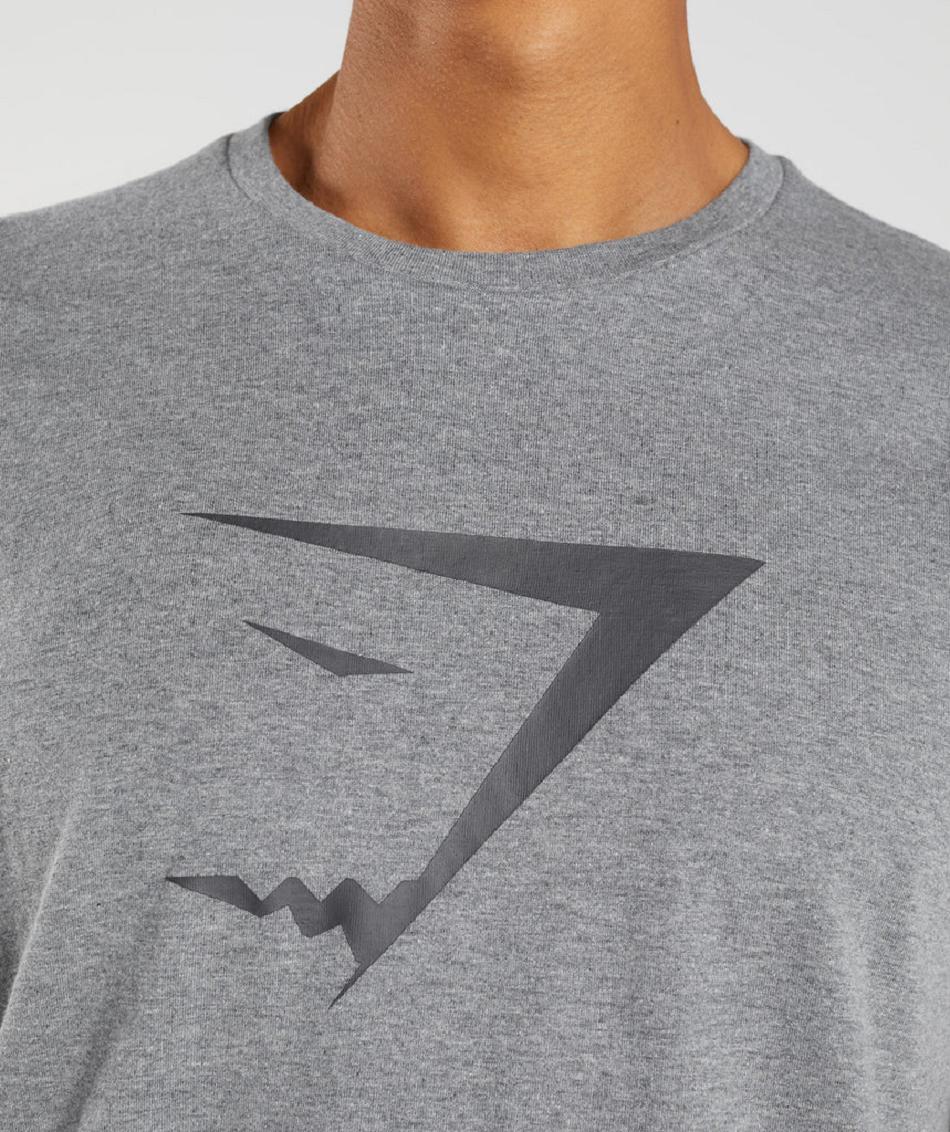 Gymshark Sharkhead Infill Muške T Shirts Sive | HR 2481MQZ